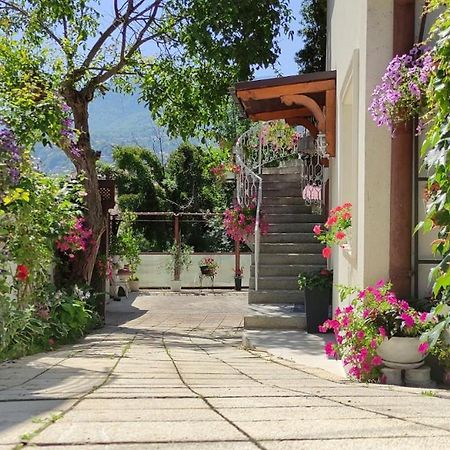 Vila Dzan サラエヴォ エクステリア 写真